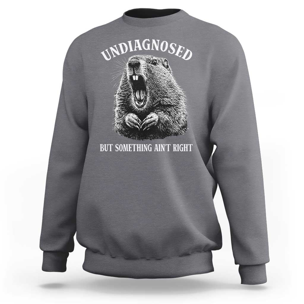 Funny Groundhog Meme Undiagnosed But Something Aint Right Sweatshirt - Wonder Print Shop
