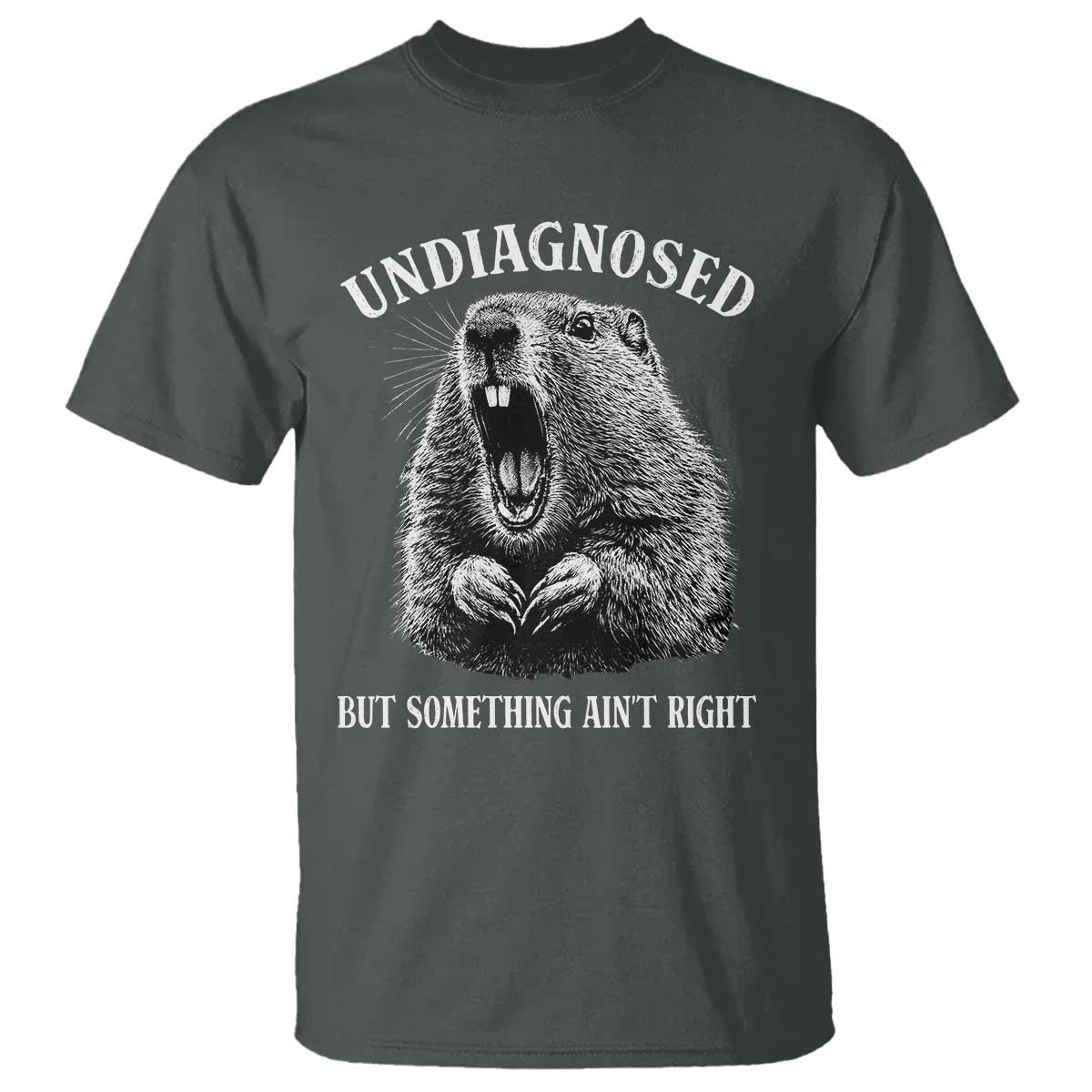 Funny Groundhog Meme Undiagnosed But Something Aint Right T Shirt - Wonder Print Shop