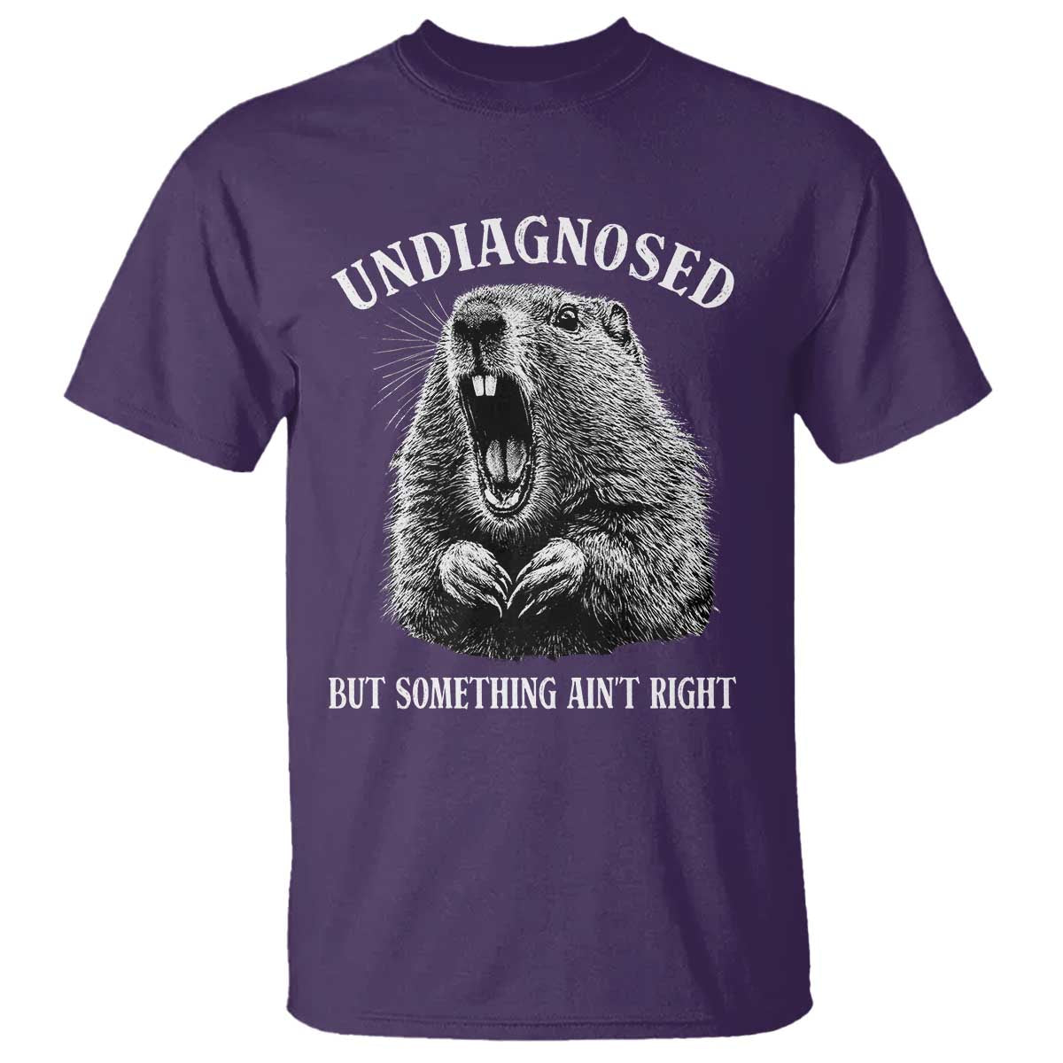 Funny Groundhog Meme Undiagnosed But Something Aint Right T Shirt - Wonder Print Shop