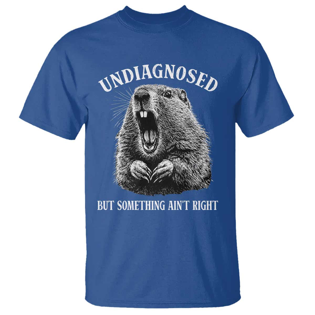 Funny Groundhog Meme Undiagnosed But Something Aint Right T Shirt - Wonder Print Shop