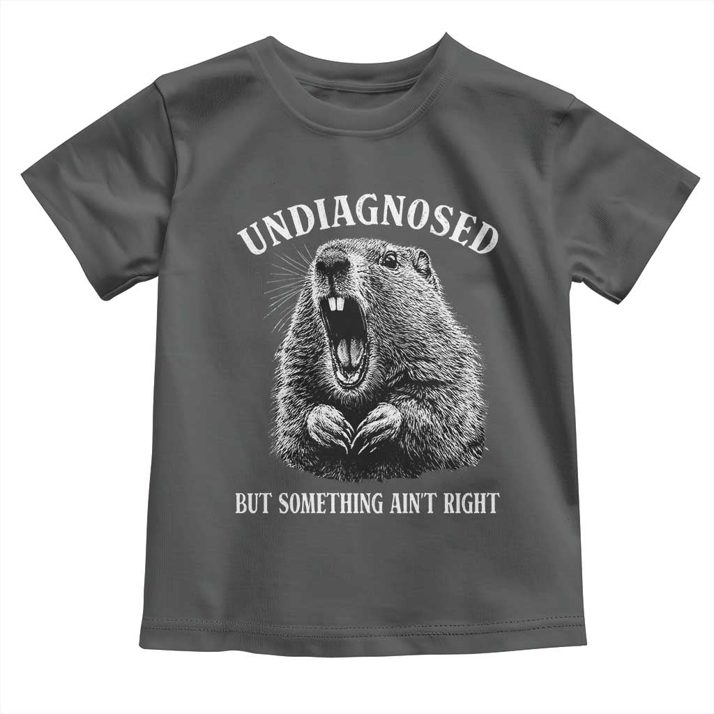 Funny Groundhog Meme Undiagnosed But Something Aint Right Toddler T Shirt - Wonder Print Shop