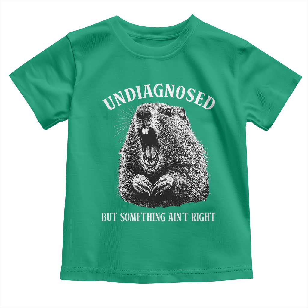 Funny Groundhog Meme Undiagnosed But Something Aint Right Toddler T Shirt - Wonder Print Shop