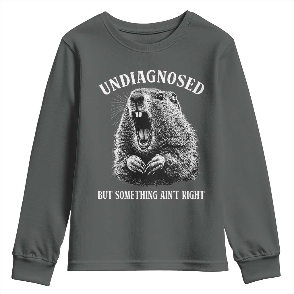 Funny Groundhog Meme Undiagnosed But Something Aint Right Youth Sweatshirt - Wonder Print Shop