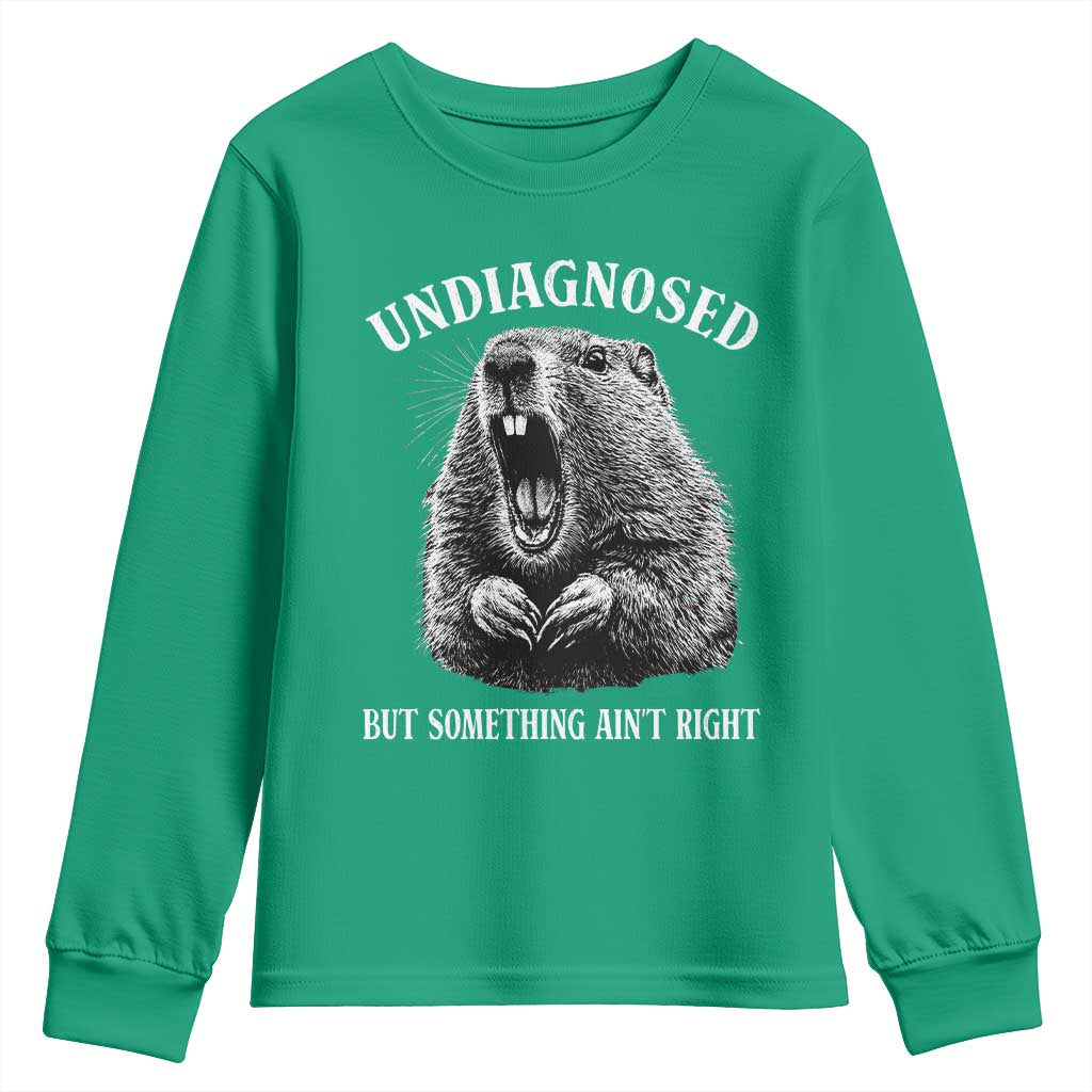 Funny Groundhog Meme Undiagnosed But Something Aint Right Youth Sweatshirt - Wonder Print Shop