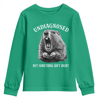 Funny Groundhog Meme Undiagnosed But Something Aint Right Youth Sweatshirt - Wonder Print Shop