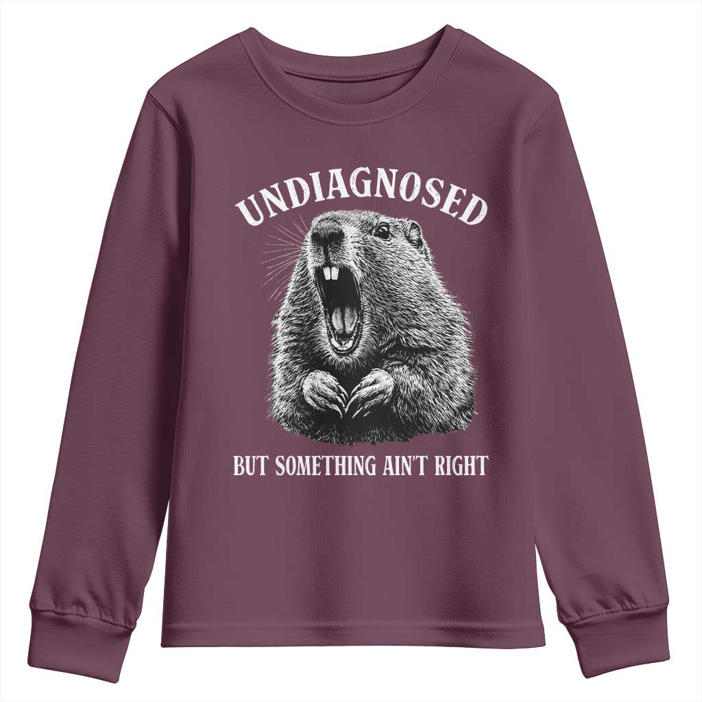 Funny Groundhog Meme Undiagnosed But Something Aint Right Youth Sweatshirt - Wonder Print Shop