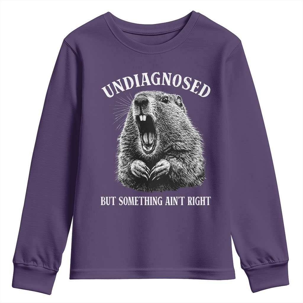 Funny Groundhog Meme Undiagnosed But Something Aint Right Youth Sweatshirt - Wonder Print Shop