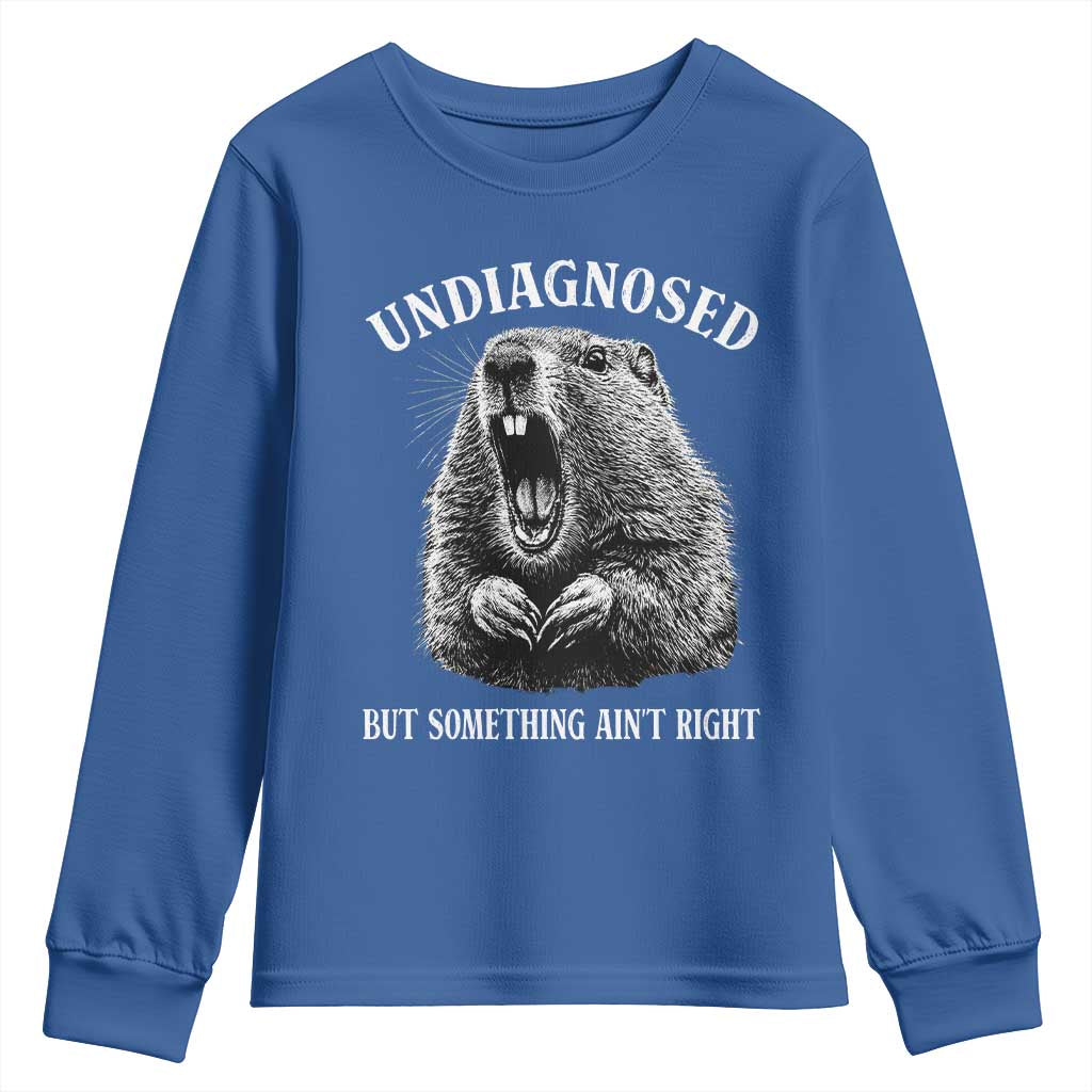 Funny Groundhog Meme Undiagnosed But Something Aint Right Youth Sweatshirt - Wonder Print Shop