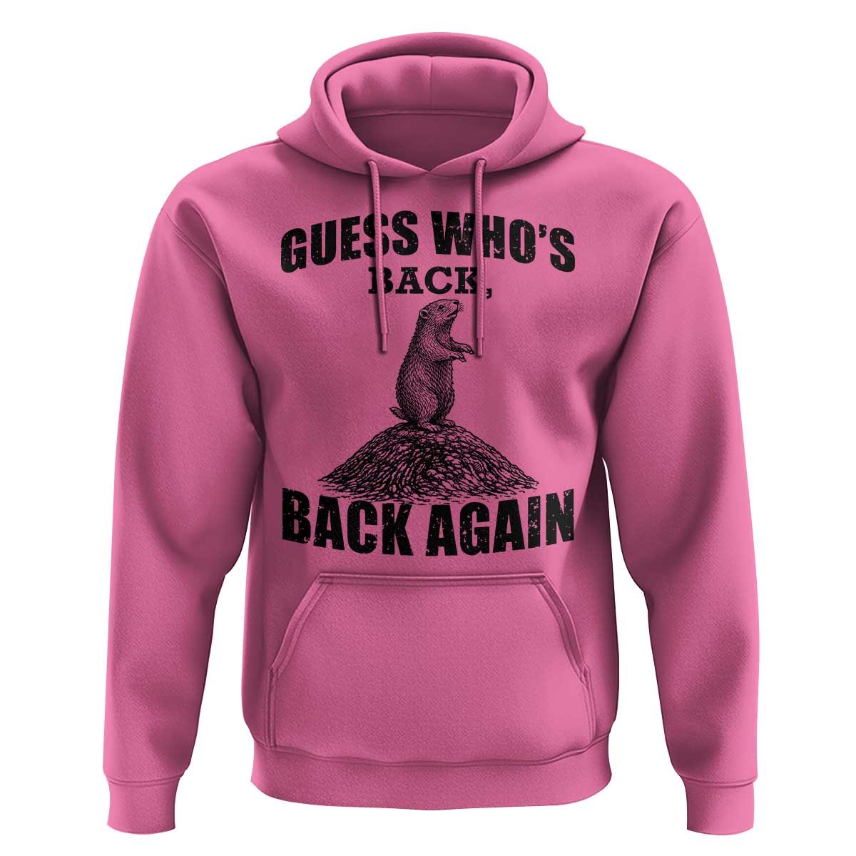 Funny Groundhog Day Hoodie Retro Guess Whos Back - Wonder Print Shop