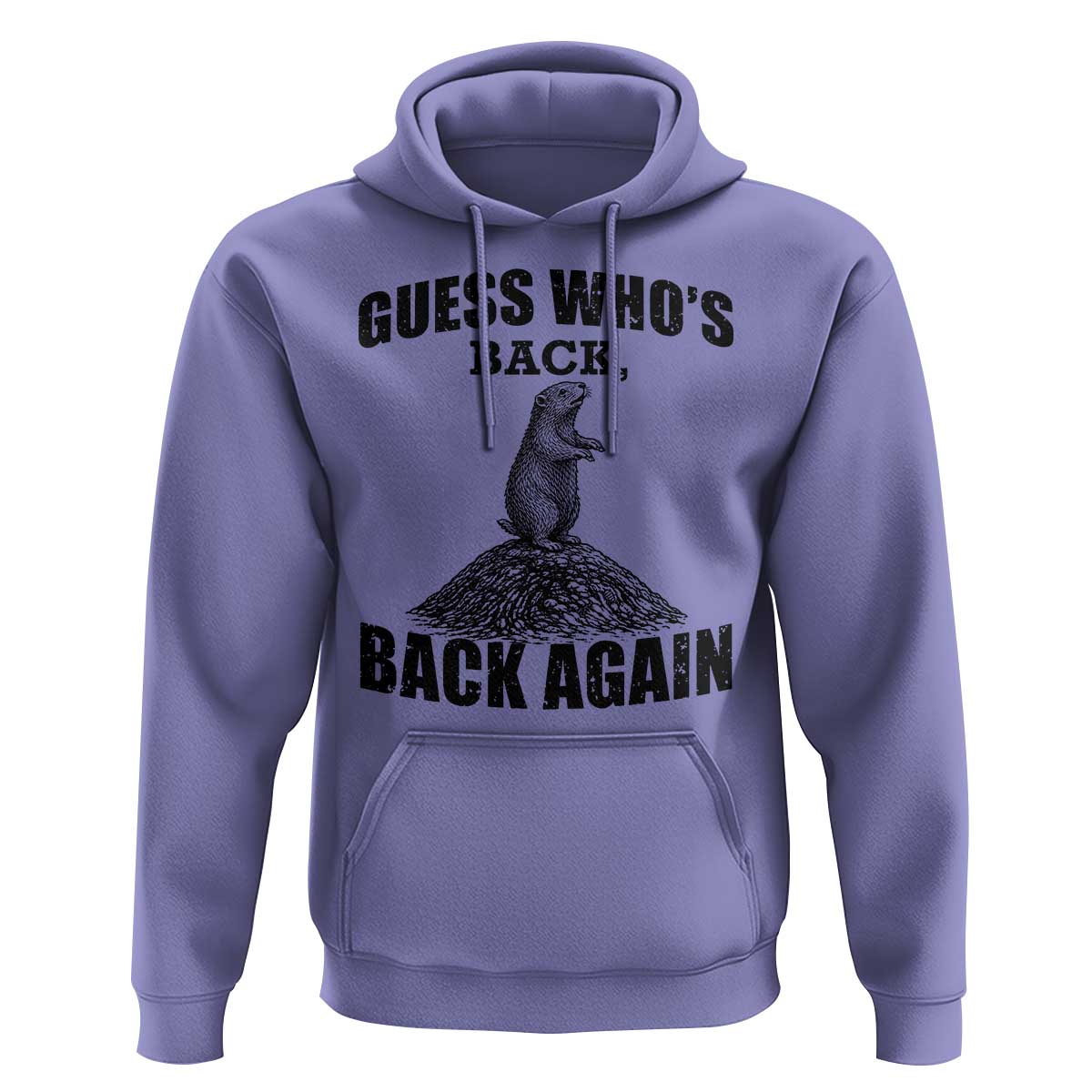 Funny Groundhog Day Hoodie Retro Guess Whos Back - Wonder Print Shop