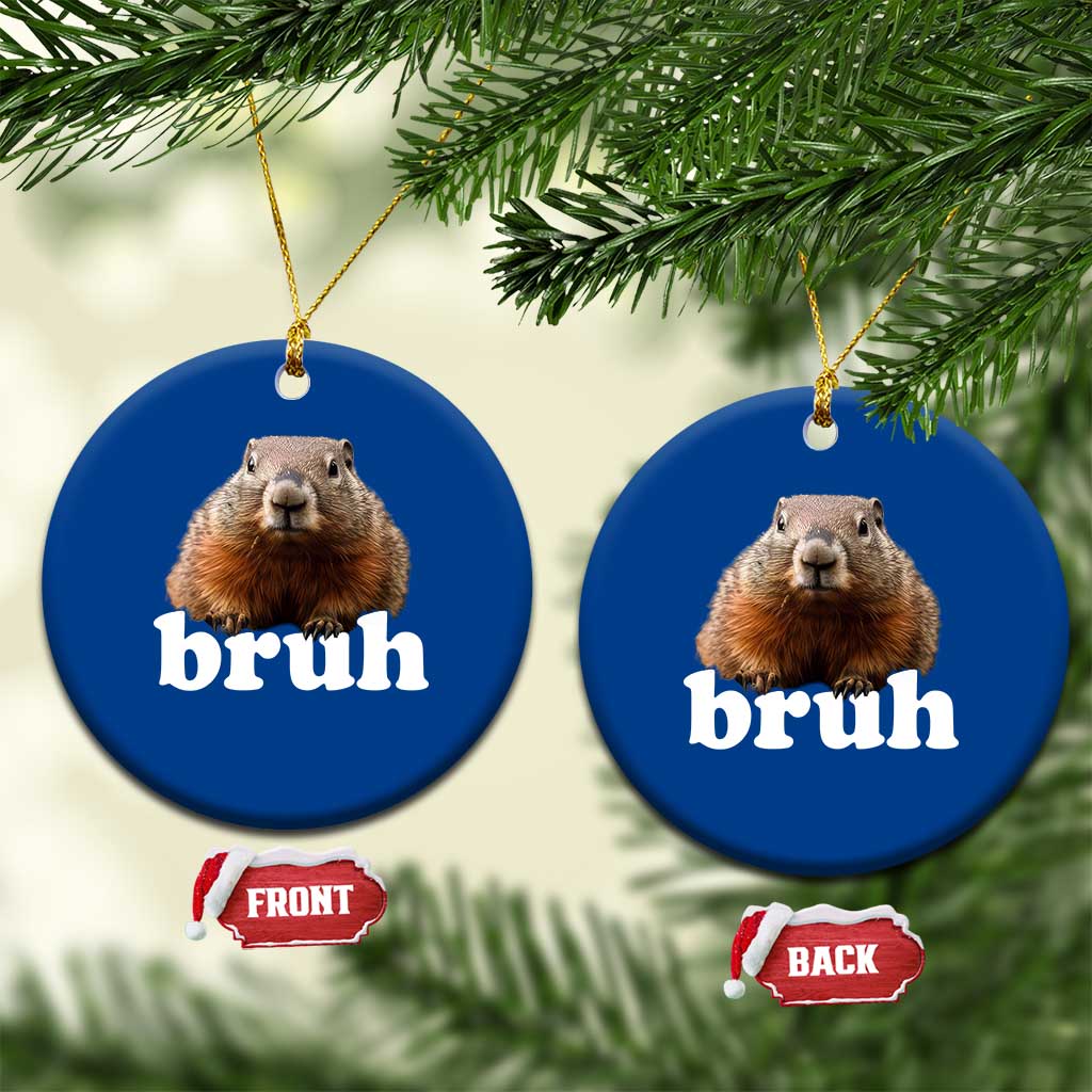 Bruh Groundhog Ceramic Ornament Funny Woodchuck Youth Teens Kids Slang - Wonder Print Shop