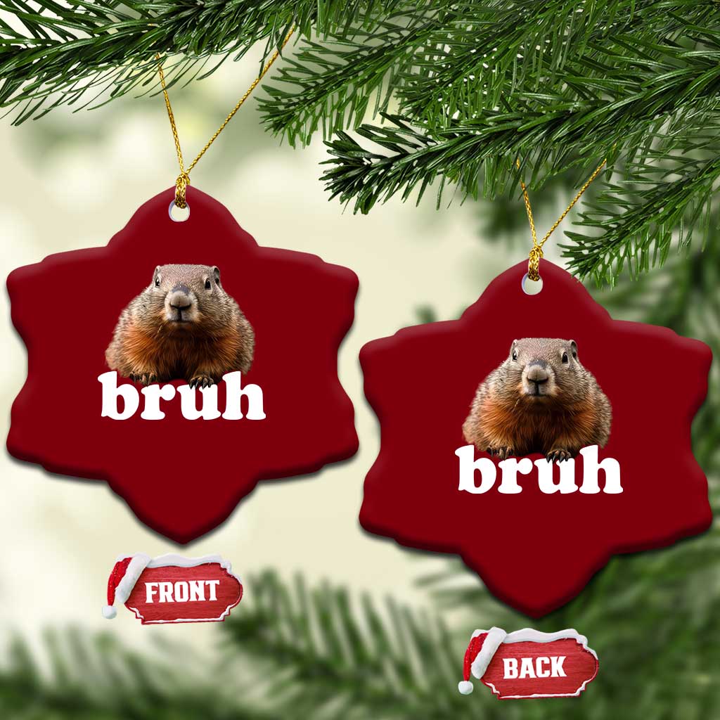 Bruh Groundhog Ceramic Ornament Funny Woodchuck Youth Teens Kids Slang - Wonder Print Shop