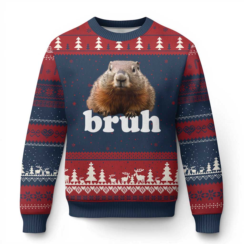 Bruh Groundhog Ugly Christmas Sweater Funny Woodchuck Youth Teens Kids Slang - Wonder Print Shop