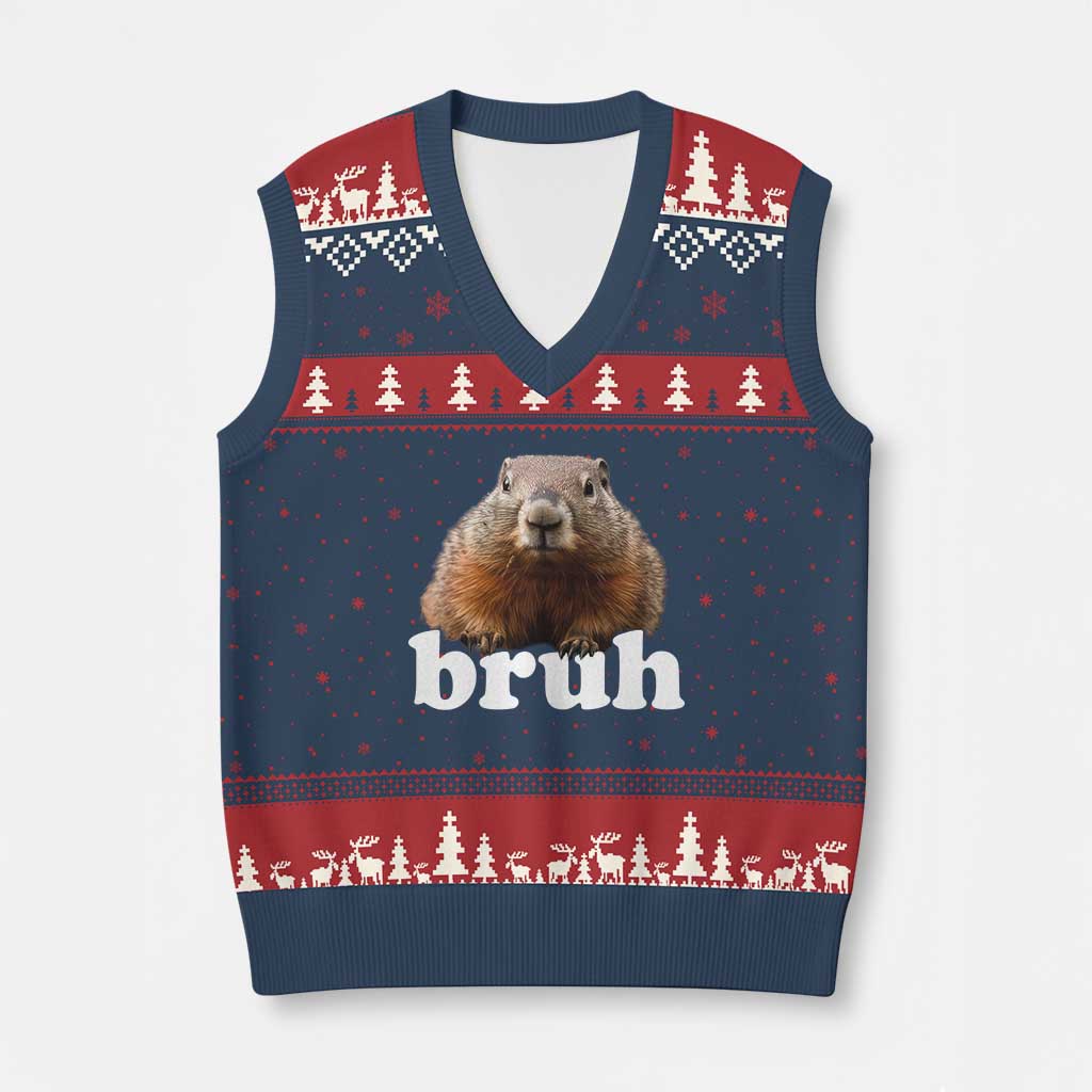 Bruh Groundhog V-Neck Knit Sweater Vest Funny Woodchuck Youth Teens Kids Slang - Wonder Print Shop