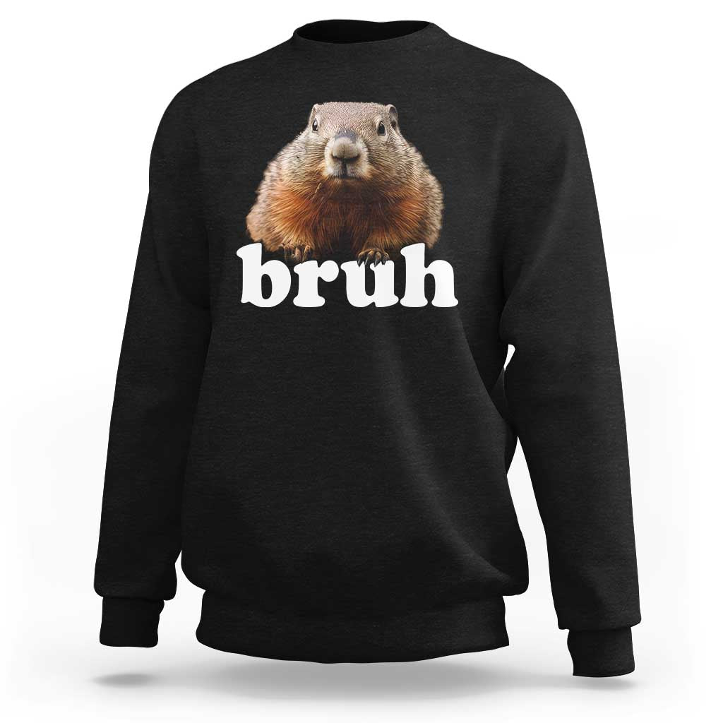 Bruh Groundhog Sweatshirt Funny Woodchuck Youth Teens Kids Slang - Wonder Print Shop