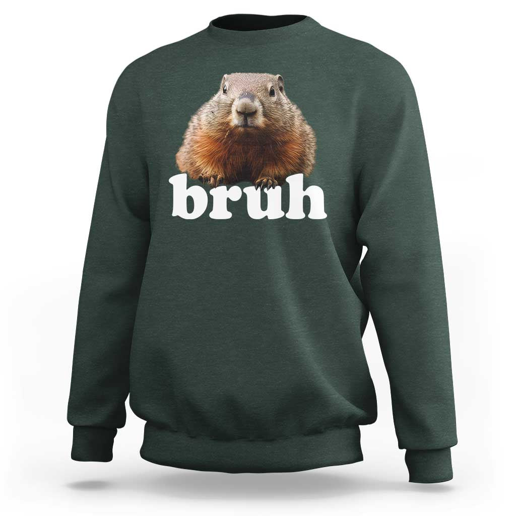 Bruh Groundhog Sweatshirt Funny Woodchuck Youth Teens Kids Slang - Wonder Print Shop