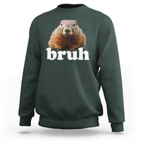 Bruh Groundhog Sweatshirt Funny Woodchuck Youth Teens Kids Slang - Wonder Print Shop