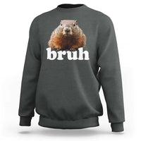 Bruh Groundhog Sweatshirt Funny Woodchuck Youth Teens Kids Slang - Wonder Print Shop