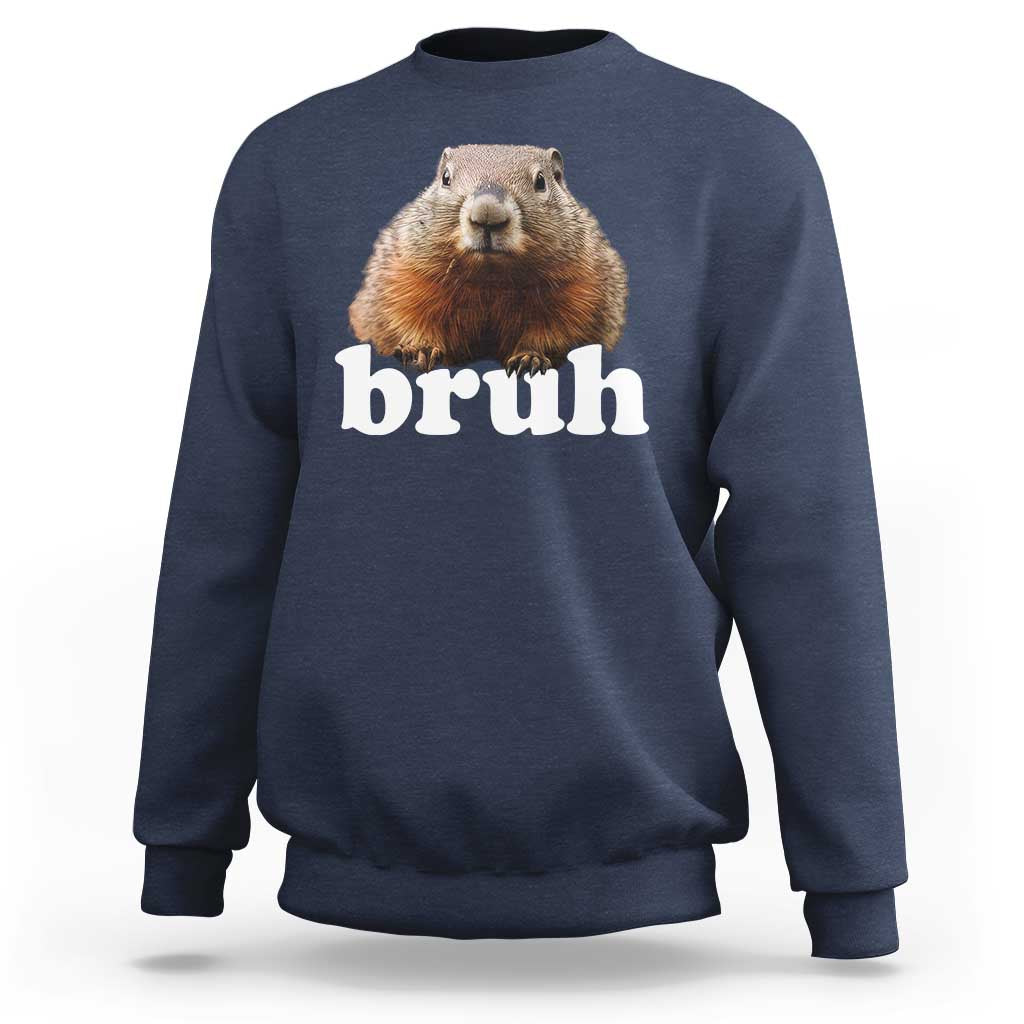 Bruh Groundhog Sweatshirt Funny Woodchuck Youth Teens Kids Slang - Wonder Print Shop