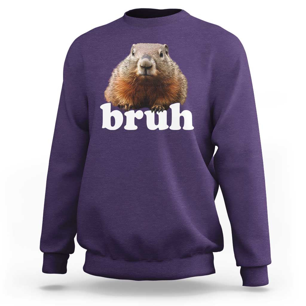 Bruh Groundhog Sweatshirt Funny Woodchuck Youth Teens Kids Slang - Wonder Print Shop