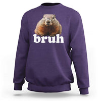 Bruh Groundhog Sweatshirt Funny Woodchuck Youth Teens Kids Slang - Wonder Print Shop