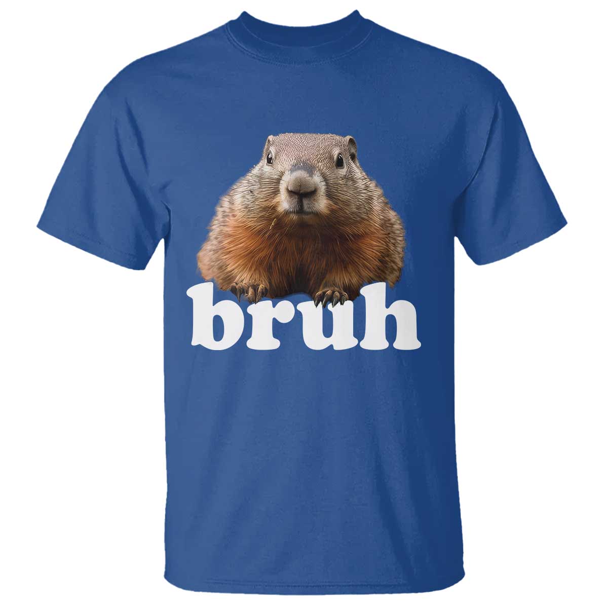 Bruh Groundhog T Shirt Funny Woodchuck Youth Teens Kids Slang - Wonder Print Shop