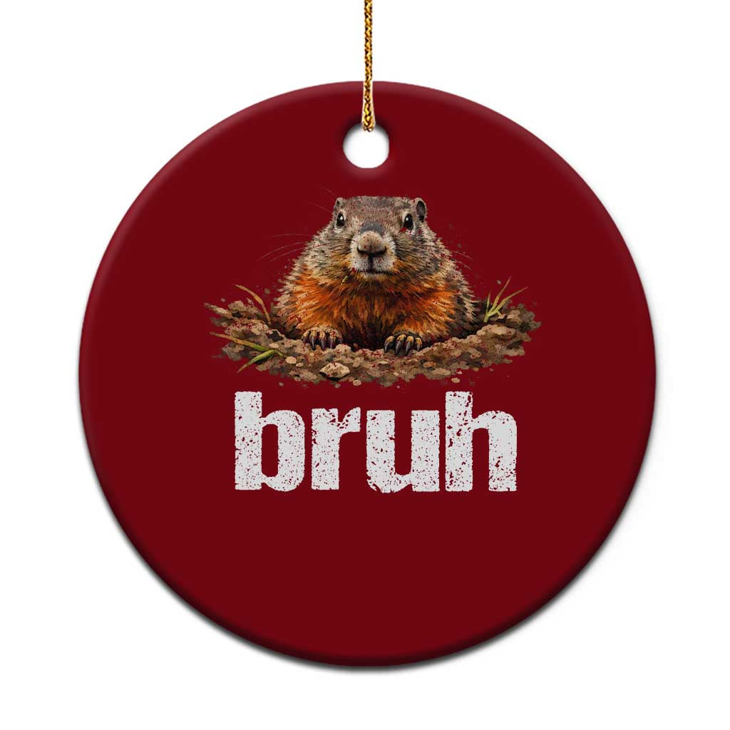 Funny Groundhog Ceramic Ornament Ground Hog Meme Lover Bruh Groundhog Day - Wonder Print Shop