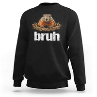 Funny Groundhog Sweatshirt Ground Hog Meme Lover Bruh Groundhog Day - Wonder Print Shop