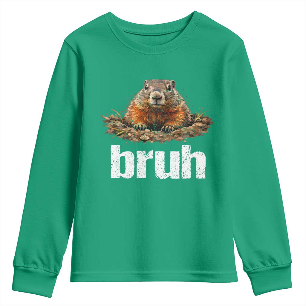 Funny Groundhog Youth Sweatshirt Ground Hog Meme Lover Bruh Groundhog Day - Wonder Print Shop