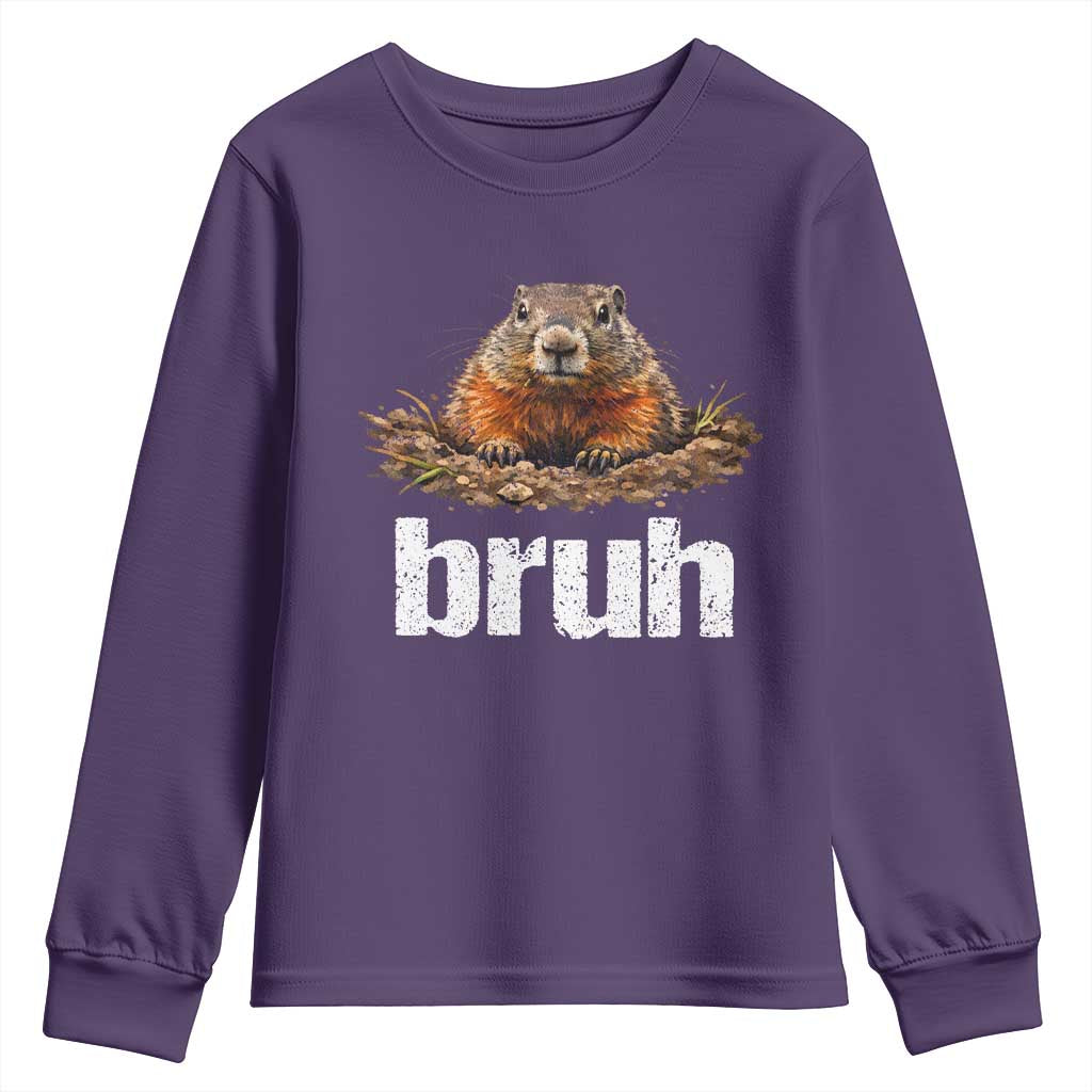 Funny Groundhog Youth Sweatshirt Ground Hog Meme Lover Bruh Groundhog Day - Wonder Print Shop