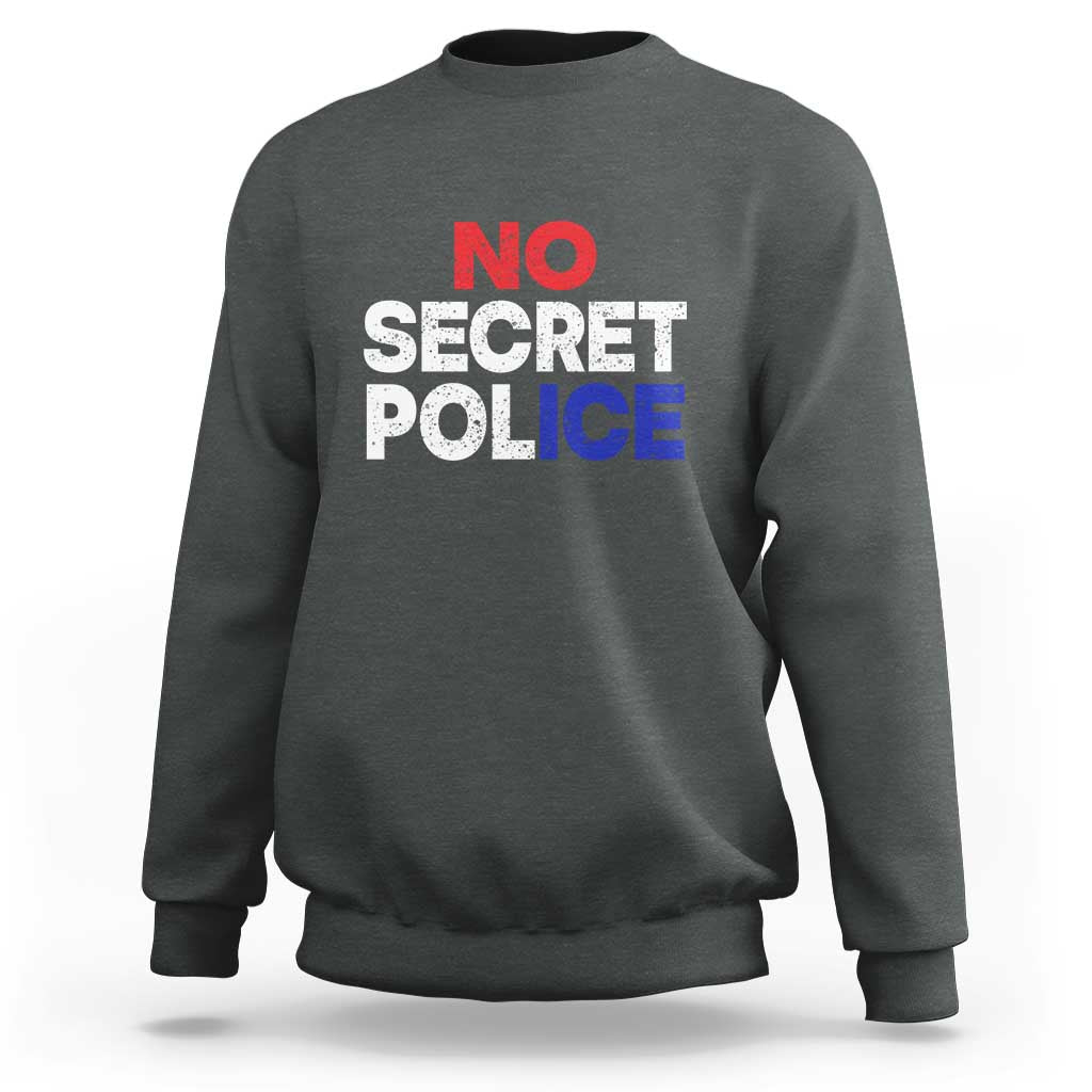 Subtle Abolish Ice Sweatshirt No Secret Police