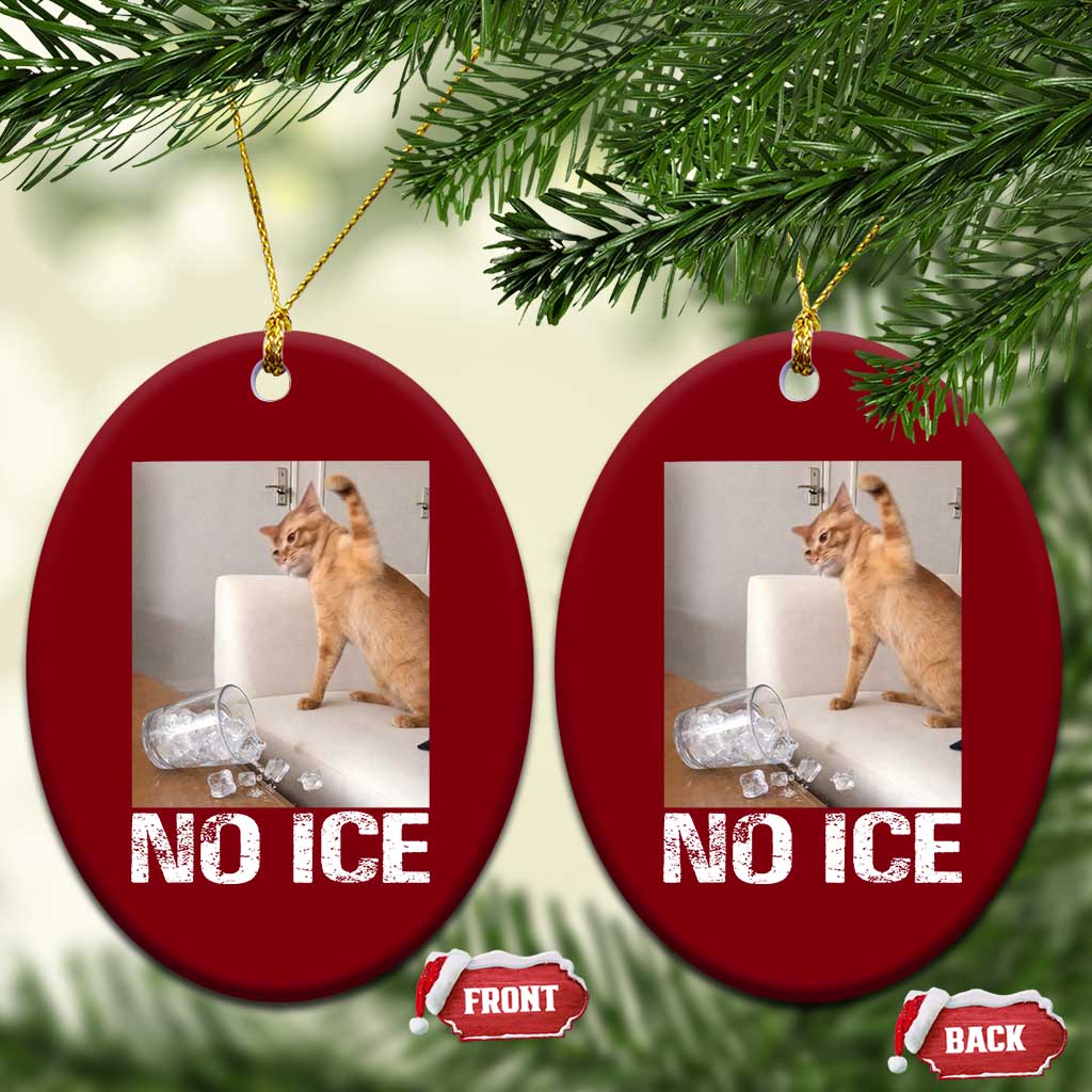 Funny Cat Meme No Ice Ceramic Ornament Subtle FDT Political Satire Satirical Humor
