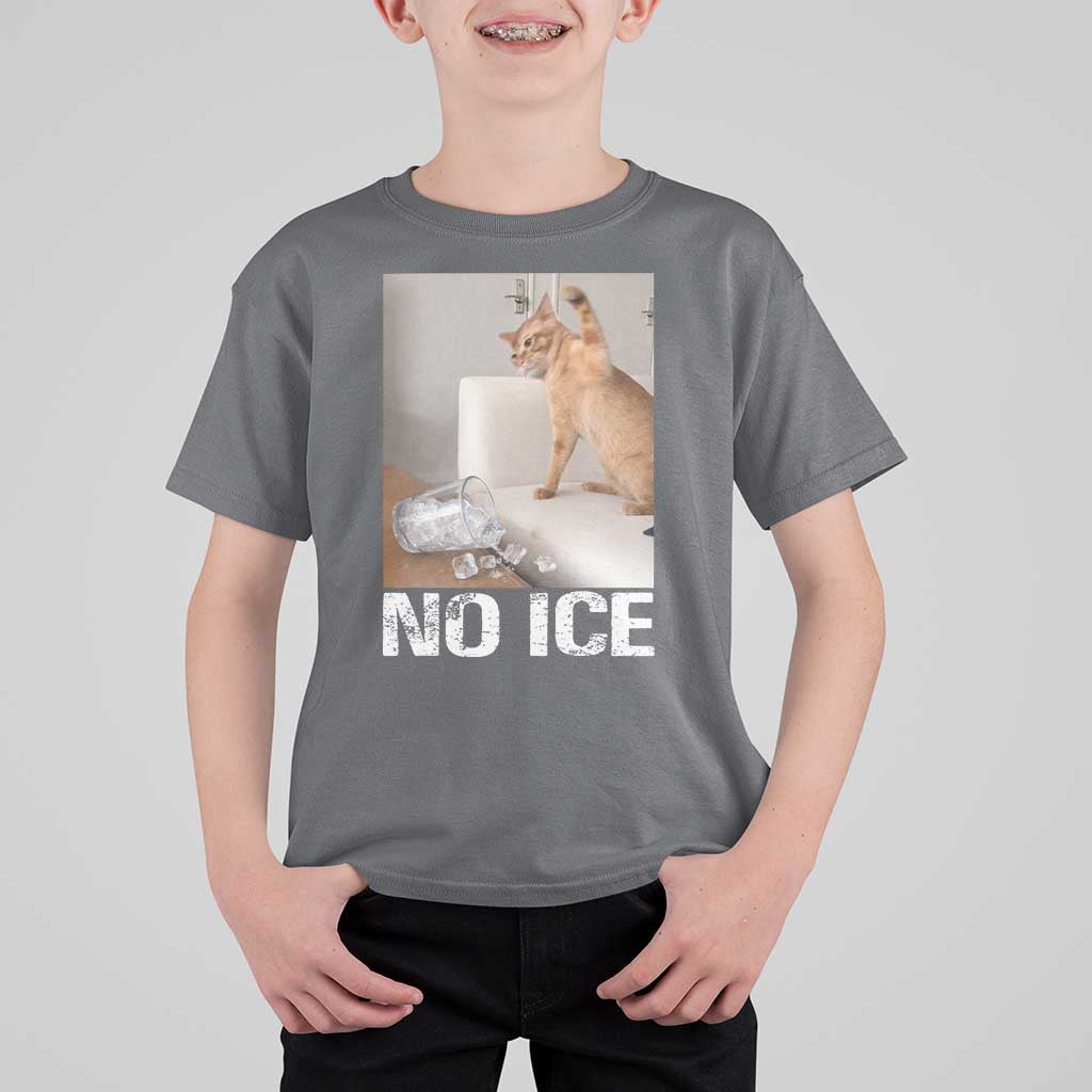 Funny Cat Meme No Ice T Shirt For Kid Subtle FDT Political Satire Satirical Humor