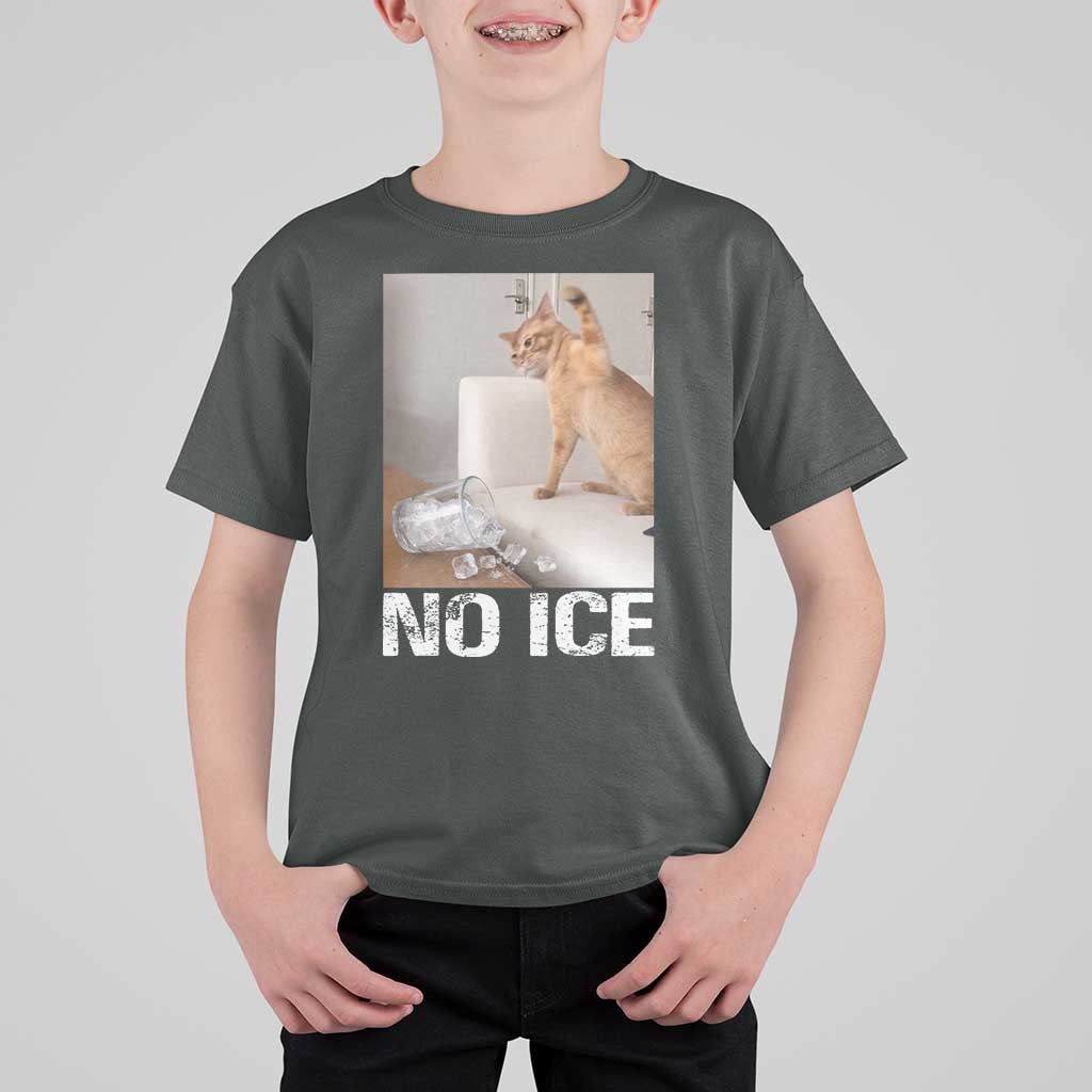 Funny Cat Meme No Ice T Shirt For Kid Subtle FDT Political Satire Satirical Humor