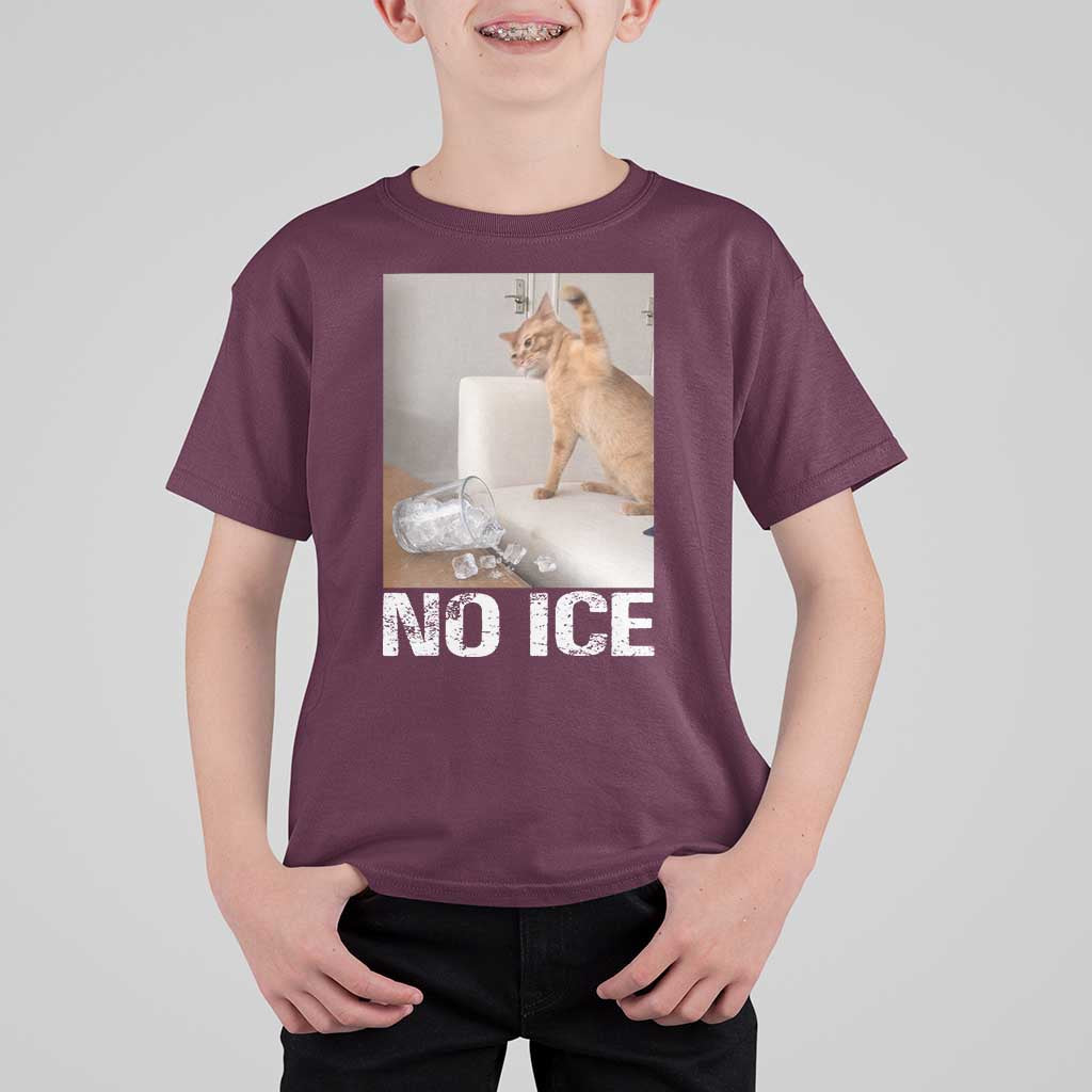 Funny Cat Meme No Ice T Shirt For Kid Subtle FDT Political Satire Satirical Humor