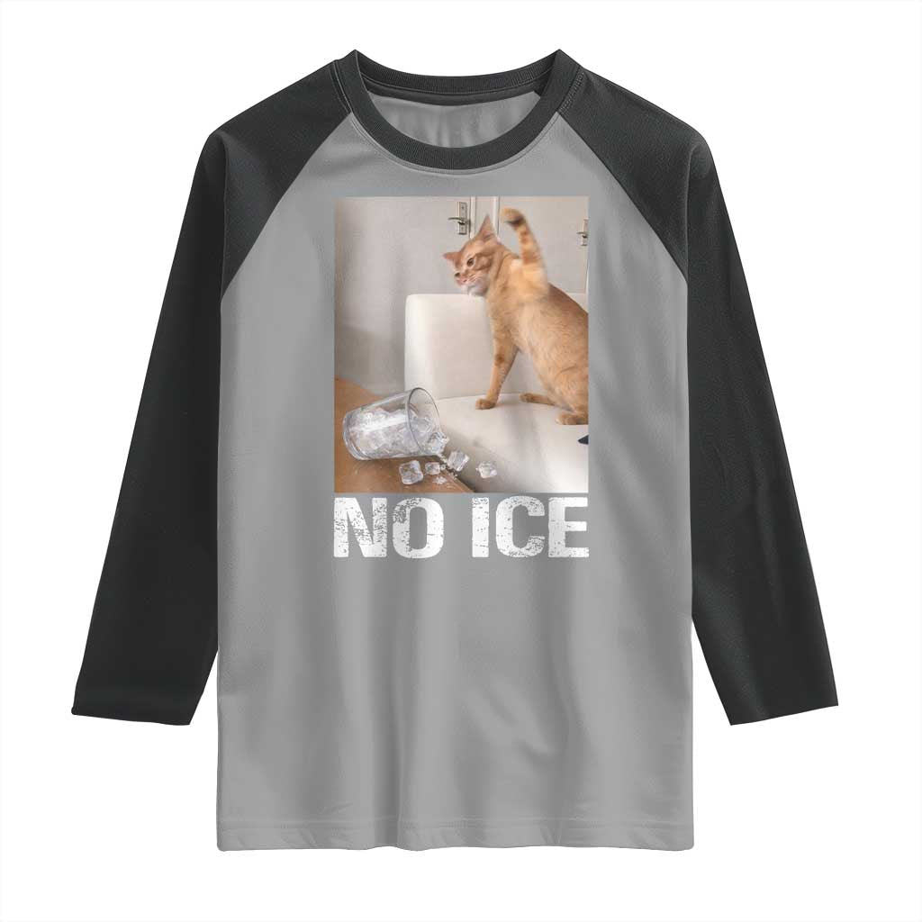 Funny Cat Meme No Ice Raglan Shirt Subtle FDT Political Satire Satirical Humor