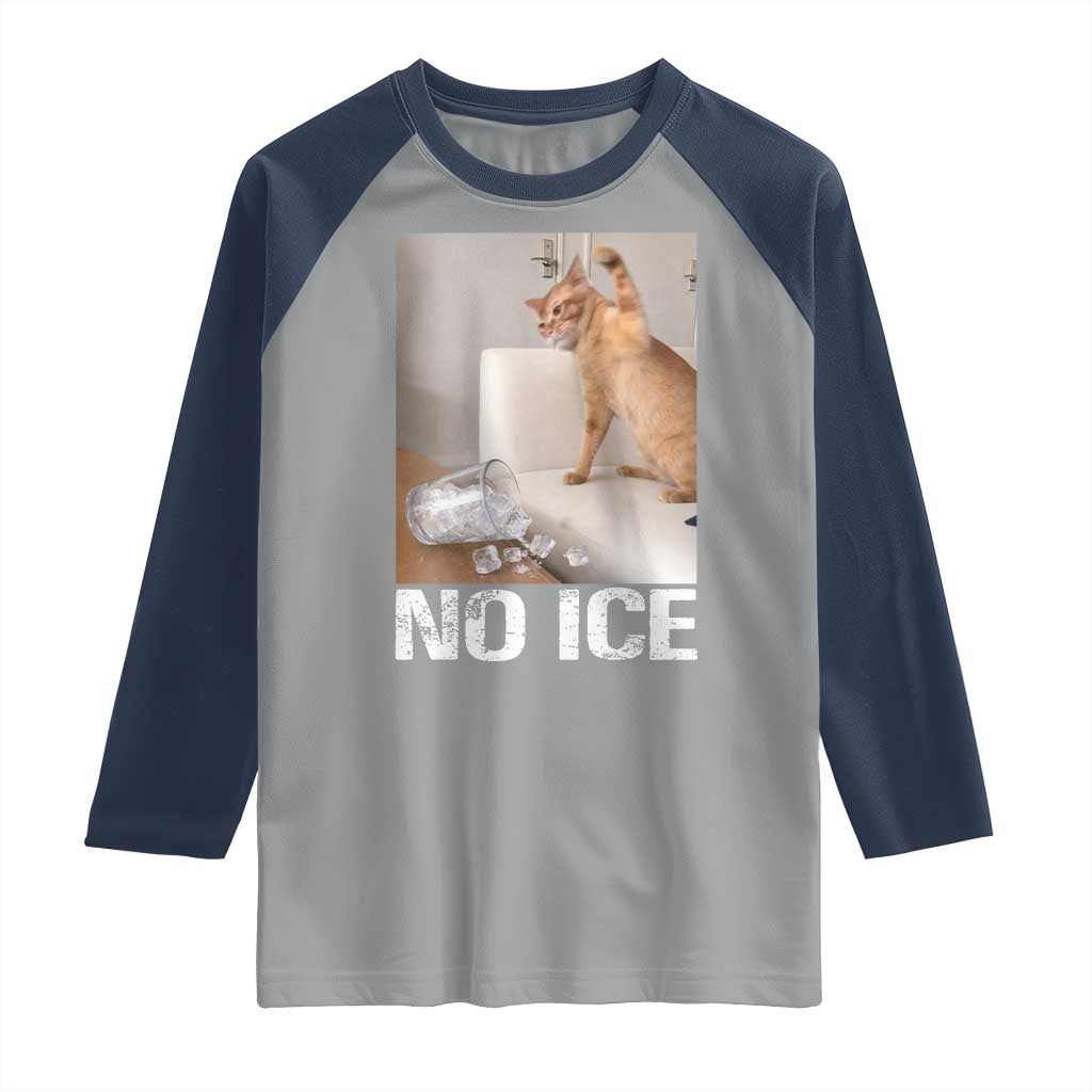 Funny Cat Meme No Ice Raglan Shirt Subtle FDT Political Satire Satirical Humor