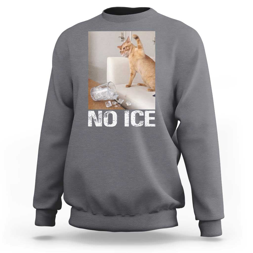Funny Cat Meme No Ice Sweatshirt Subtle FDT Political Satire Satirical Humor