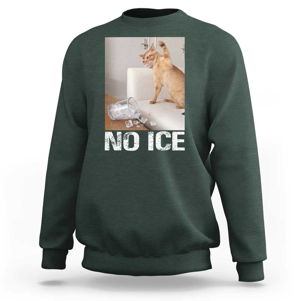 Funny Cat Meme No Ice Sweatshirt Subtle FDT Political Satire Satirical Humor