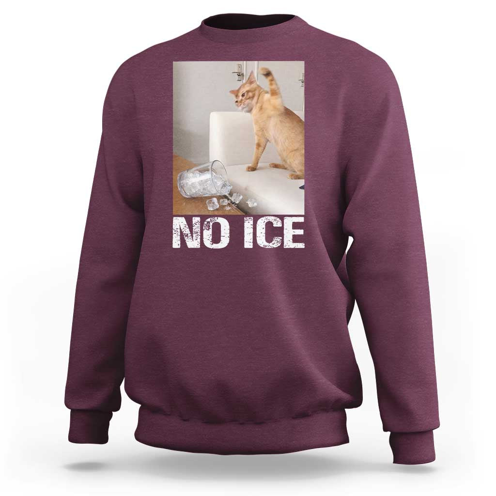 Funny Cat Meme No Ice Sweatshirt Subtle FDT Political Satire Satirical Humor