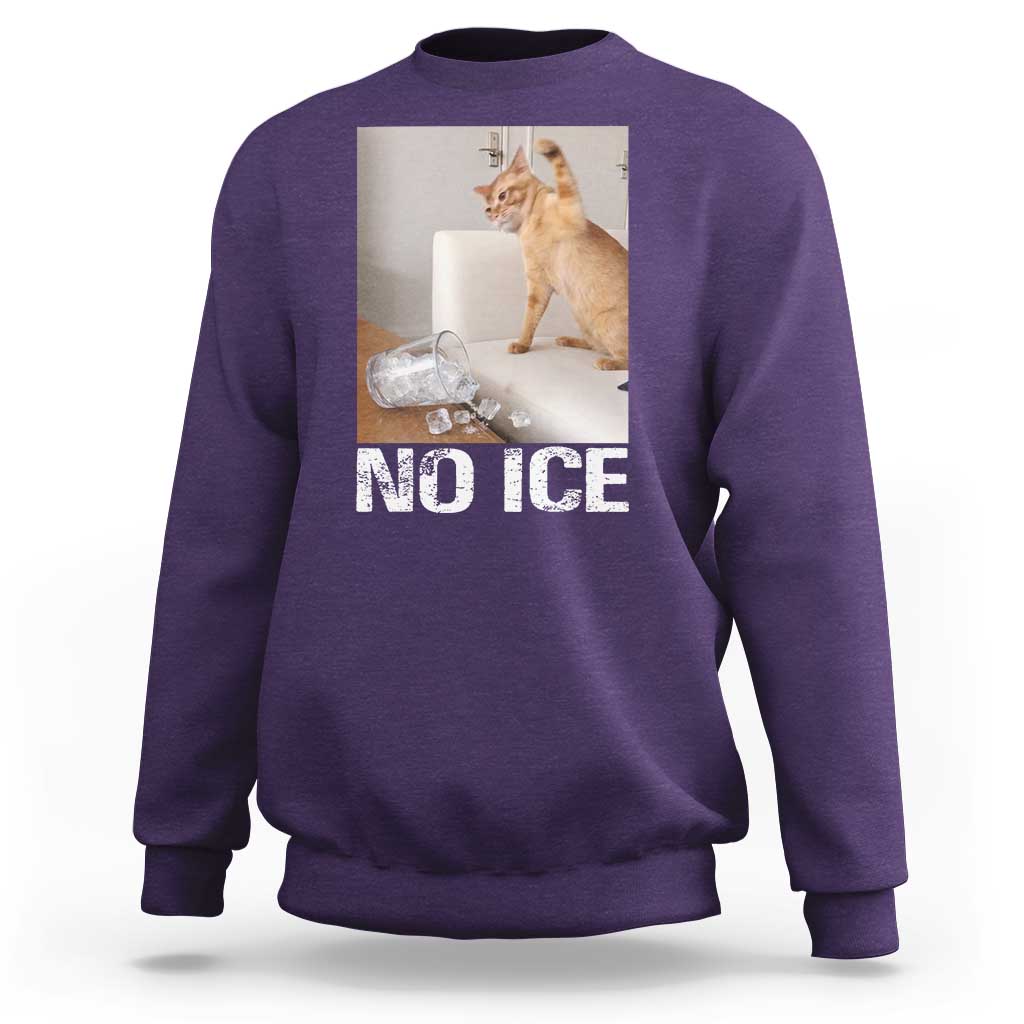 Funny Cat Meme No Ice Sweatshirt Subtle FDT Political Satire Satirical Humor