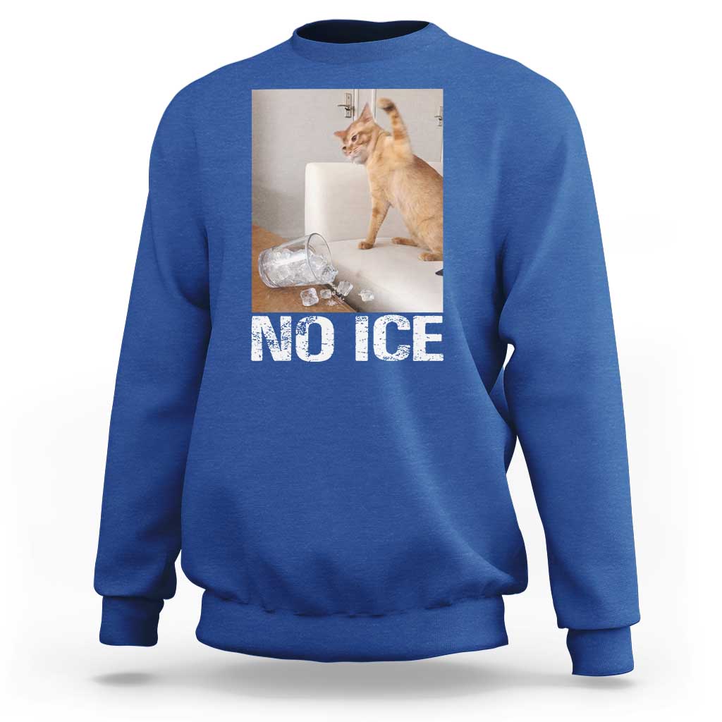 Funny Cat Meme No Ice Sweatshirt Subtle FDT Political Satire Satirical Humor