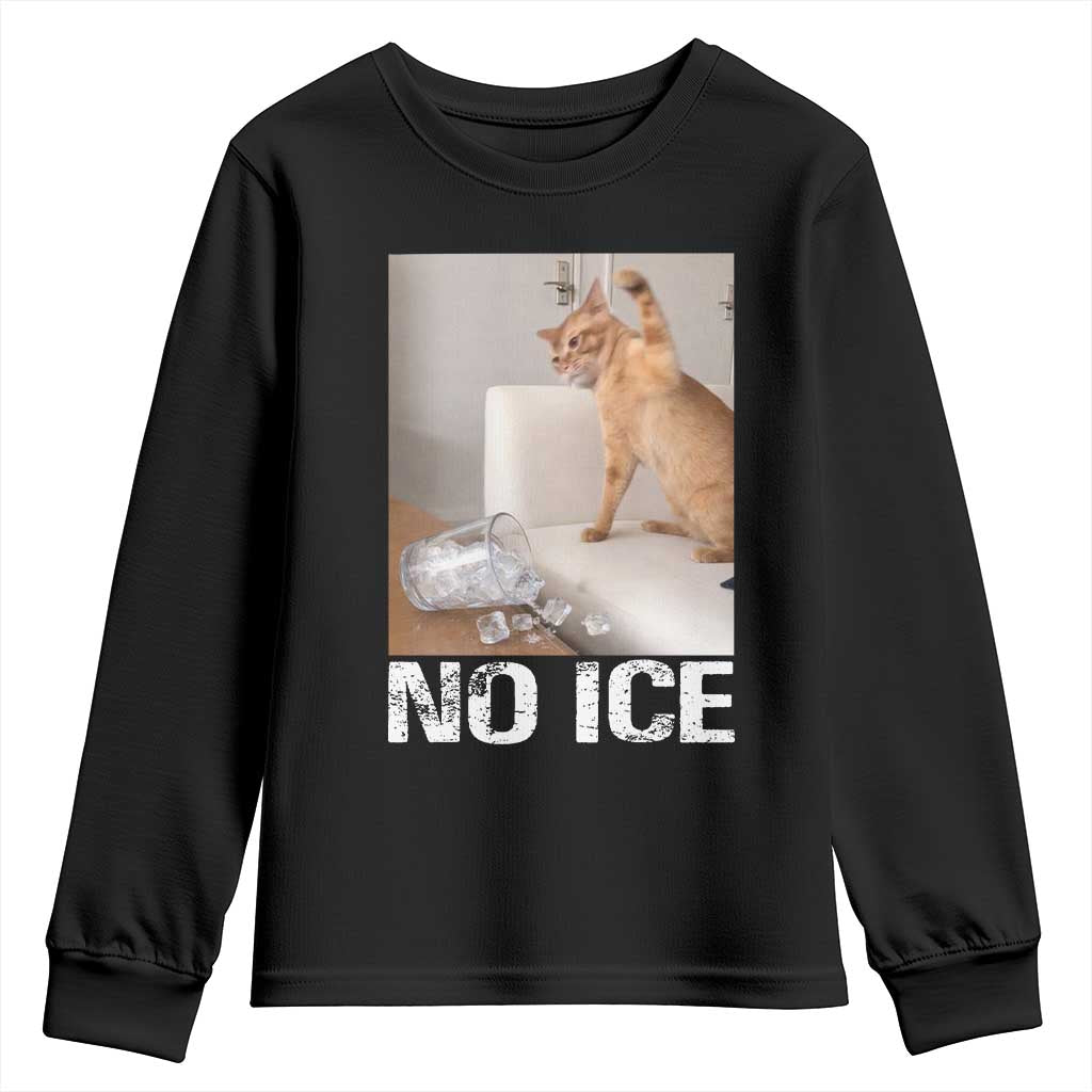Funny Cat Meme No Ice Youth Sweatshirt Subtle FDT Political Satire Satirical Humor