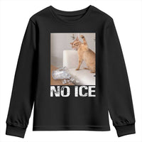 Funny Cat Meme No Ice Youth Sweatshirt Subtle FDT Political Satire Satirical Humor