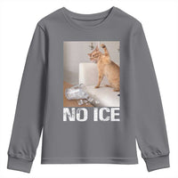 Funny Cat Meme No Ice Youth Sweatshirt Subtle FDT Political Satire Satirical Humor