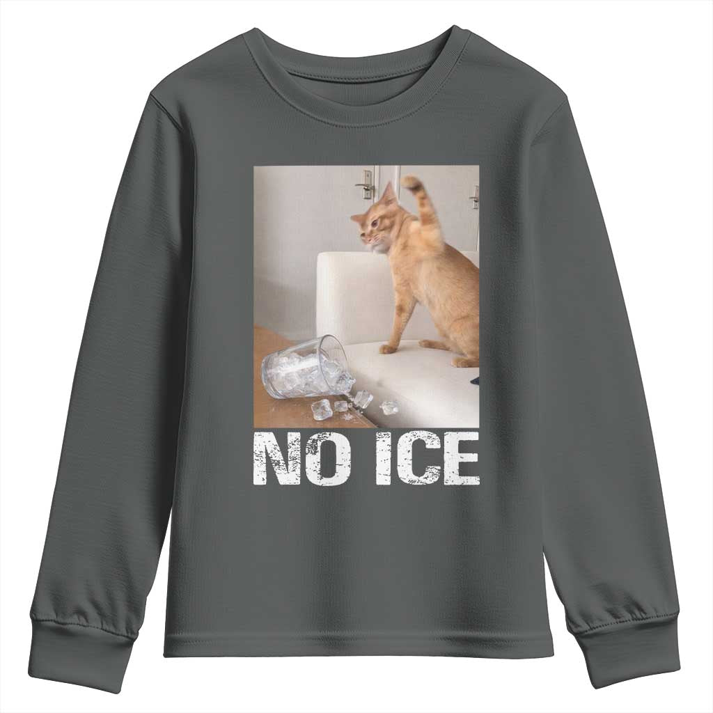 Funny Cat Meme No Ice Youth Sweatshirt Subtle FDT Political Satire Satirical Humor
