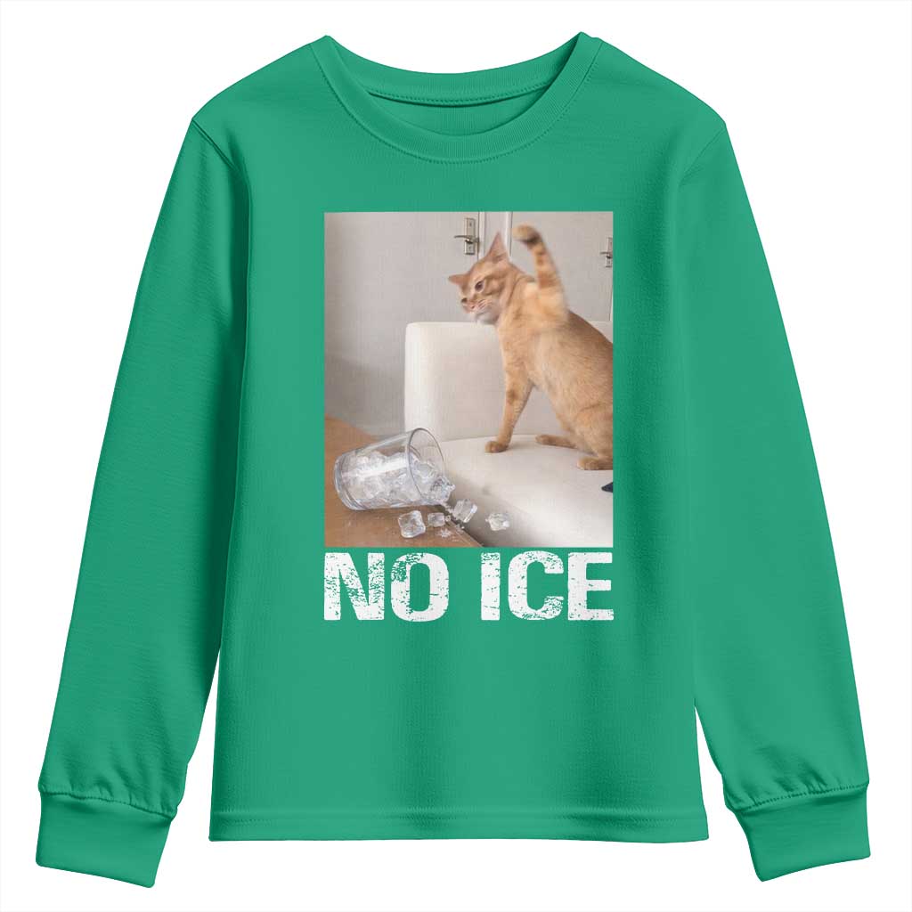 Funny Cat Meme No Ice Youth Sweatshirt Subtle FDT Political Satire Satirical Humor