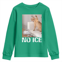 Funny Cat Meme No Ice Youth Sweatshirt Subtle FDT Political Satire Satirical Humor