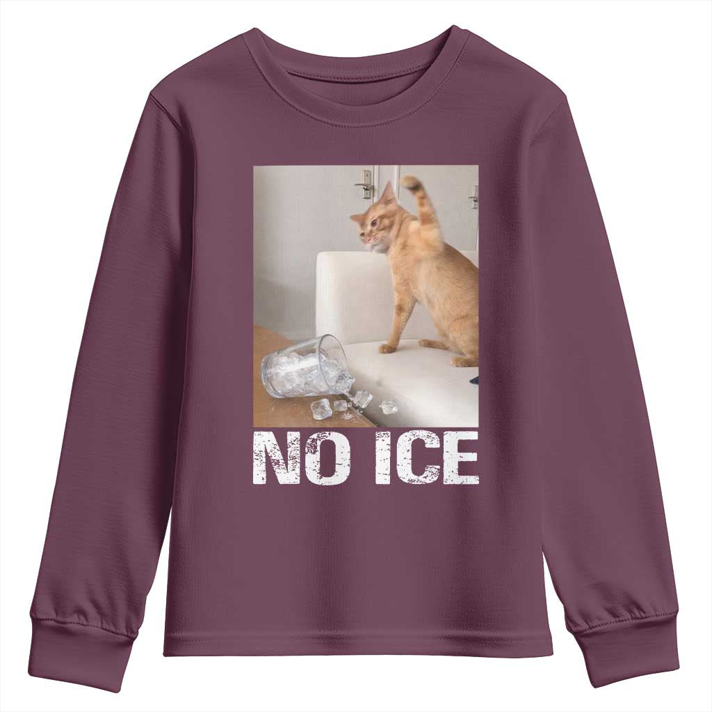 Funny Cat Meme No Ice Youth Sweatshirt Subtle FDT Political Satire Satirical Humor