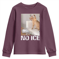 Funny Cat Meme No Ice Youth Sweatshirt Subtle FDT Political Satire Satirical Humor